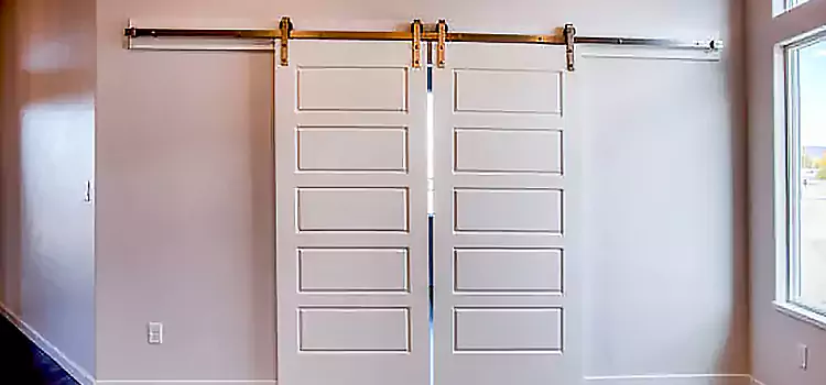 Glass Barn Door with Installation Hardware Kit Arcadia
