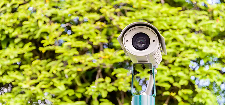 Advanced Surveillance Solutions for Every Need in Arcadia