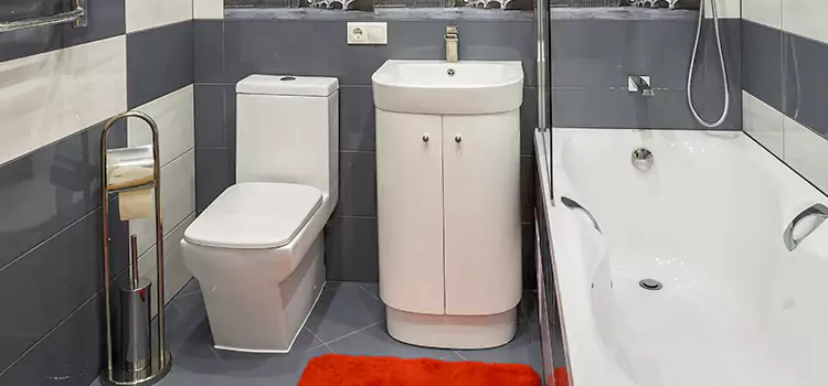 Hansgrohe Shaving Mirror Arcadia